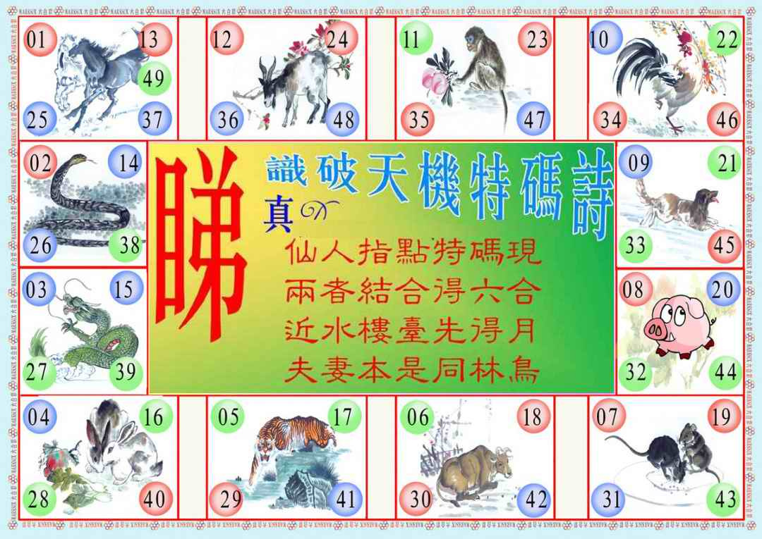 036期识破天机B版[图]